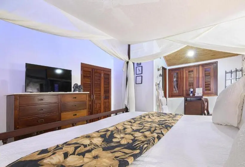景色の見えるスタンダード４人部屋, Selectum Hacienda Punta Cana