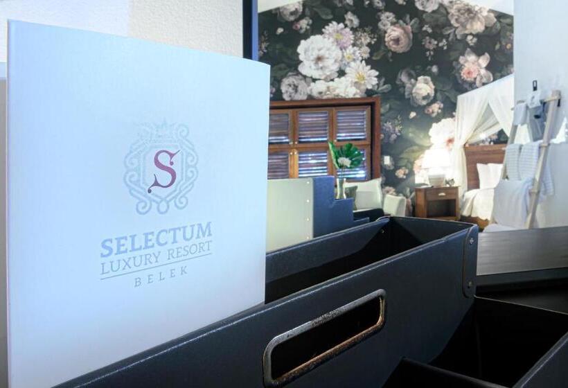 标准房带园景, Selectum Hacienda Punta Cana