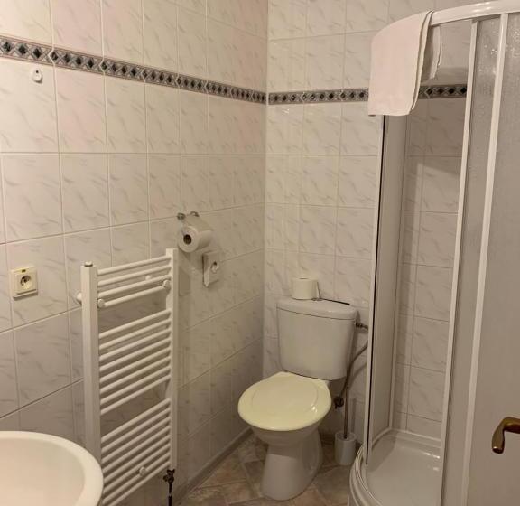 غرفة قياسية مزوَّدة بشُرفة, Penzion Centrum