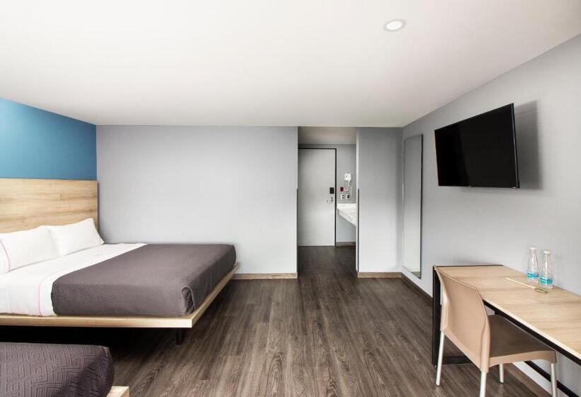 스탠다드 룸, Mx Lagunilla