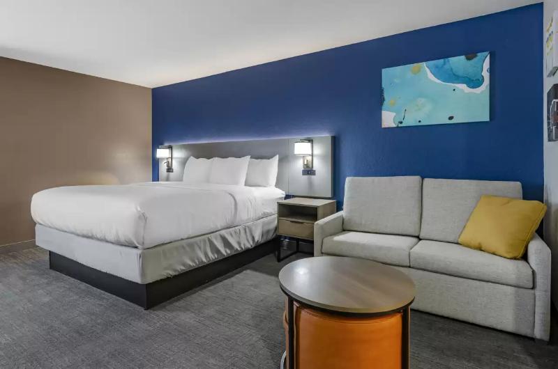 غرفة قياسية سرير كينج لذوى الإحتياجات الخاصة, Comfort Inn