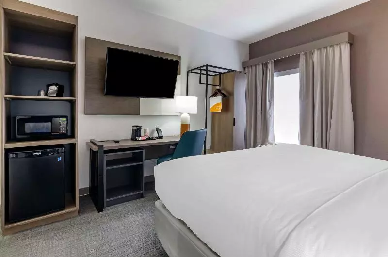 身障者適用キングサイズベッドルーム, Comfort Inn