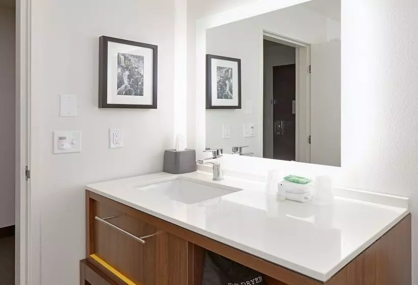 身障者適用スイートルーム, Holiday Inn Twin Falls, An Ihg