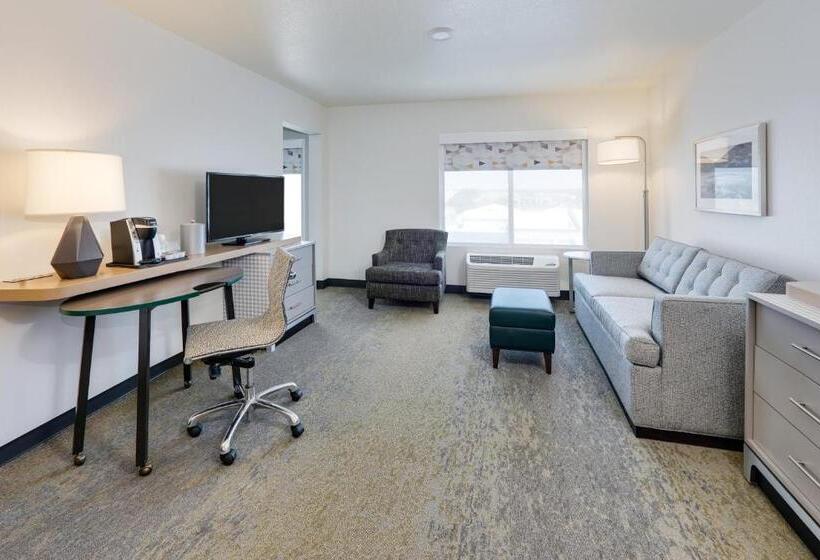 جناح سرير كينج, Holiday Inn Twin Falls, An Ihg