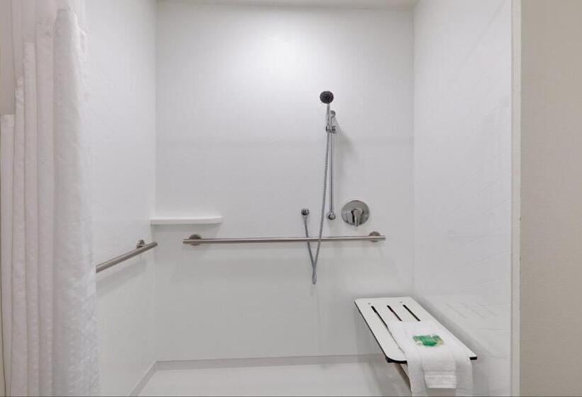 غرفة قياسية سرير كينج لذوى الإحتياجات الخاصة, Holiday Inn Twin Falls, An Ihg