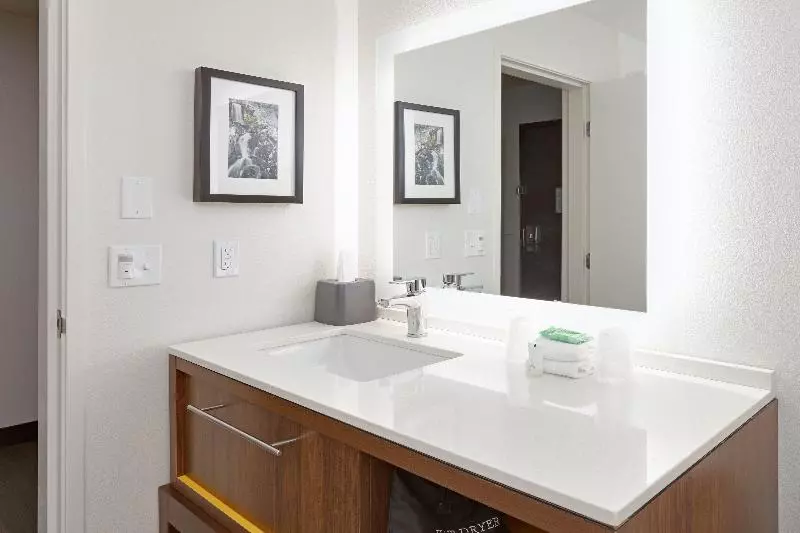 エクゼクティブスイート, Holiday Inn Twin Falls, An Ihg