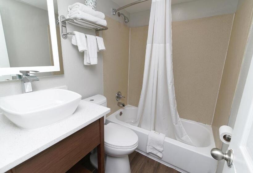 スタンダードルーム, Seashire Inn & Suites