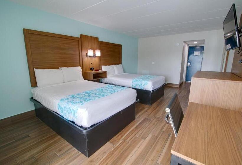 スタンダードルーム, Seashire Inn & Suites