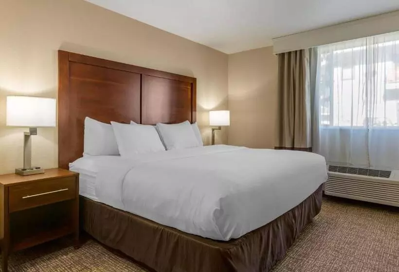 キングサイズベッドのスイートルーム, Comfort Inn & Suites Coeur D Alene
