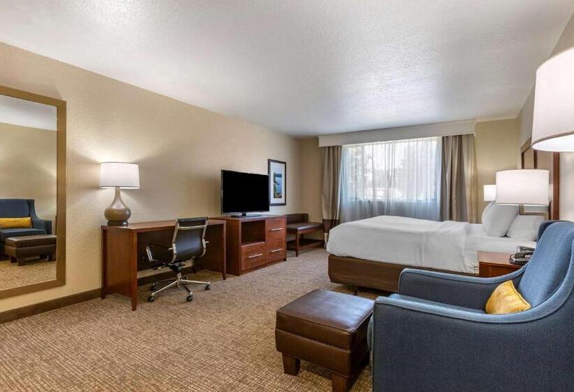Номер Стандарт Кровать Кинг Адаптированный для Инвалидов, Comfort Inn & Suites Coeur D Alene