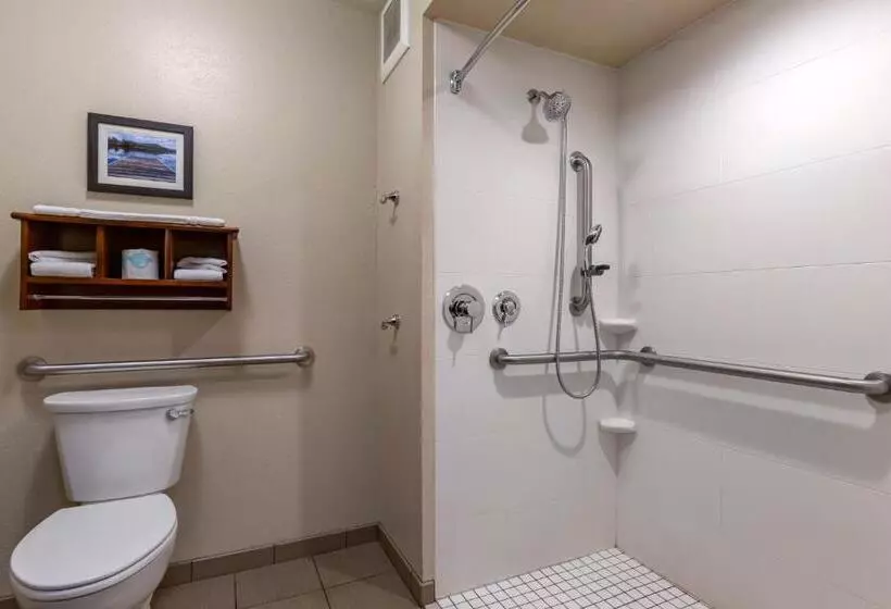 身障者適用スタンダードルーム, Comfort Inn & Suites Coeur D Alene