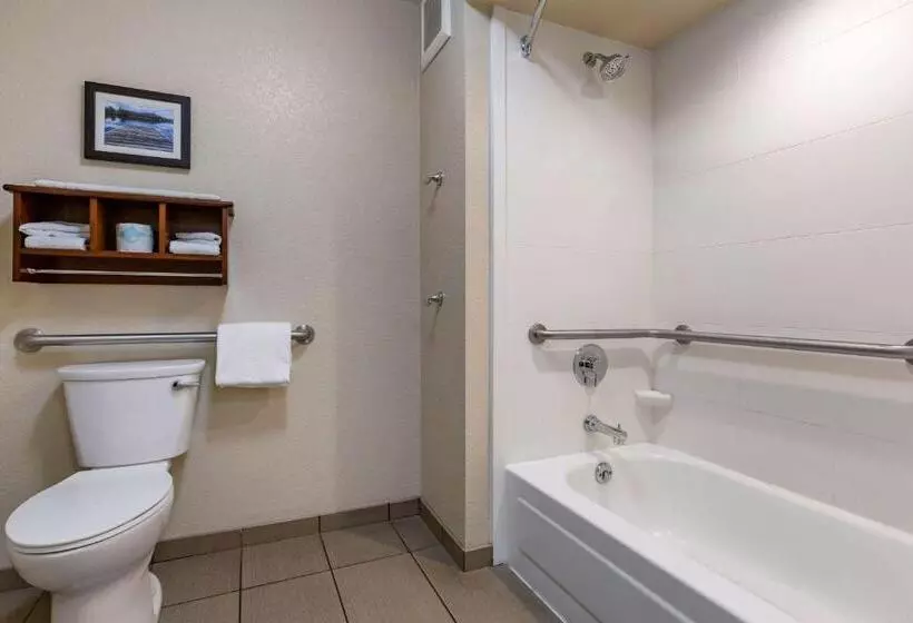 身障者適用スタンダードルーム, Comfort Inn & Suites Coeur D Alene