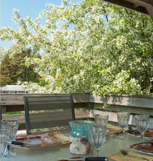 شقة غرفة واحدة مطلة على البحر, Ship S Knees Inn