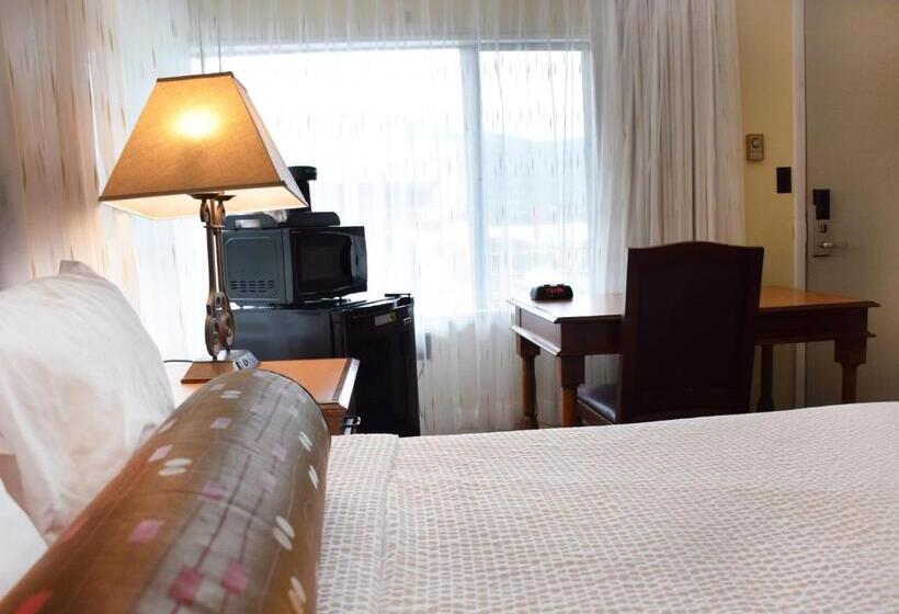 带大床的标准间, Scotty's Lakeside Resort