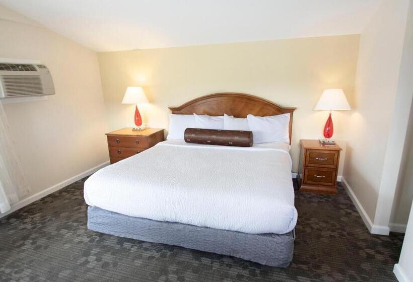 带大床的标准间, Scotty's Lakeside Resort