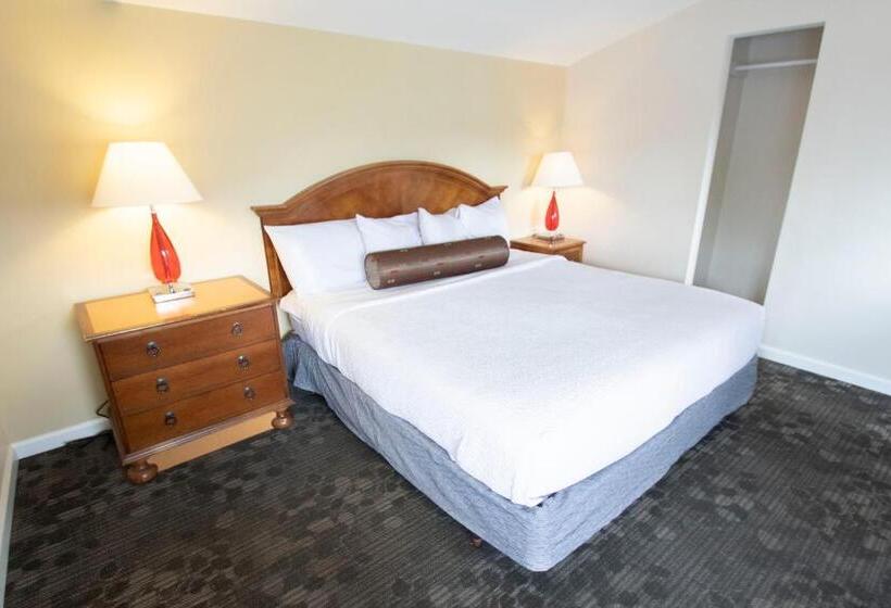 带大床的标准间, Scotty's Lakeside Resort