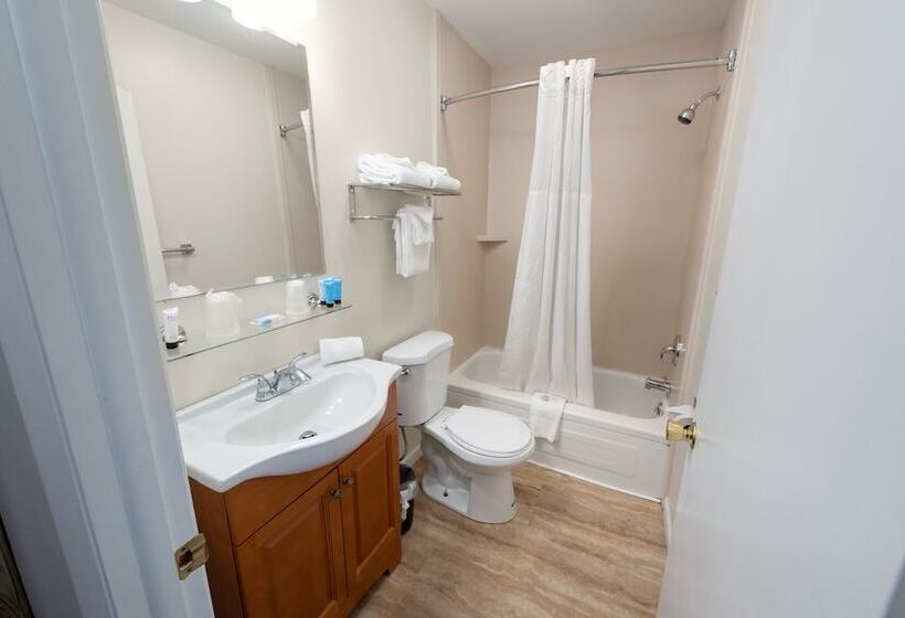 带大床的标准间, Scotty's Lakeside Resort