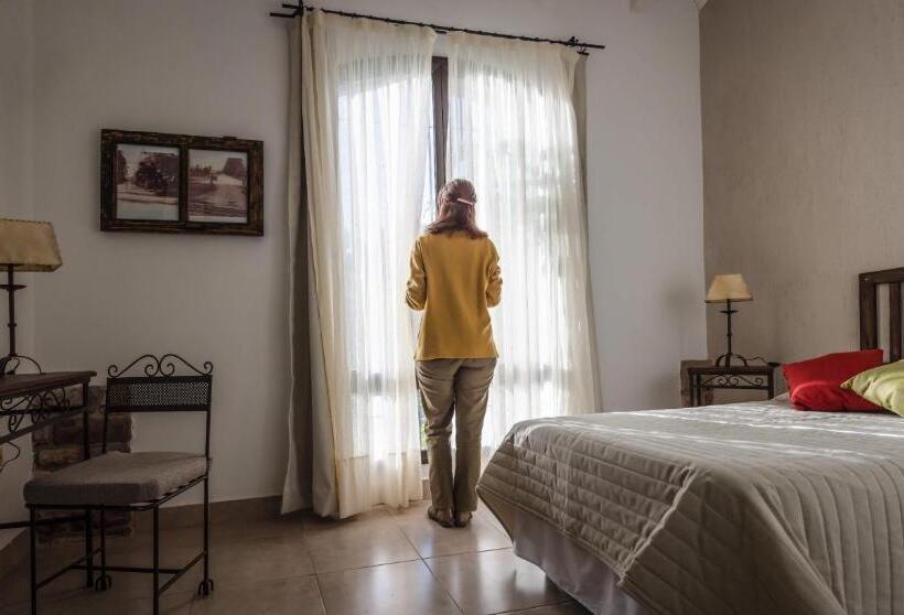 Standaard Éénpersoonskamer, Del Ingenio