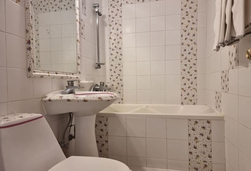 スタンダードルーム, Benikea Hotel Mountain & Ocean Yangyang