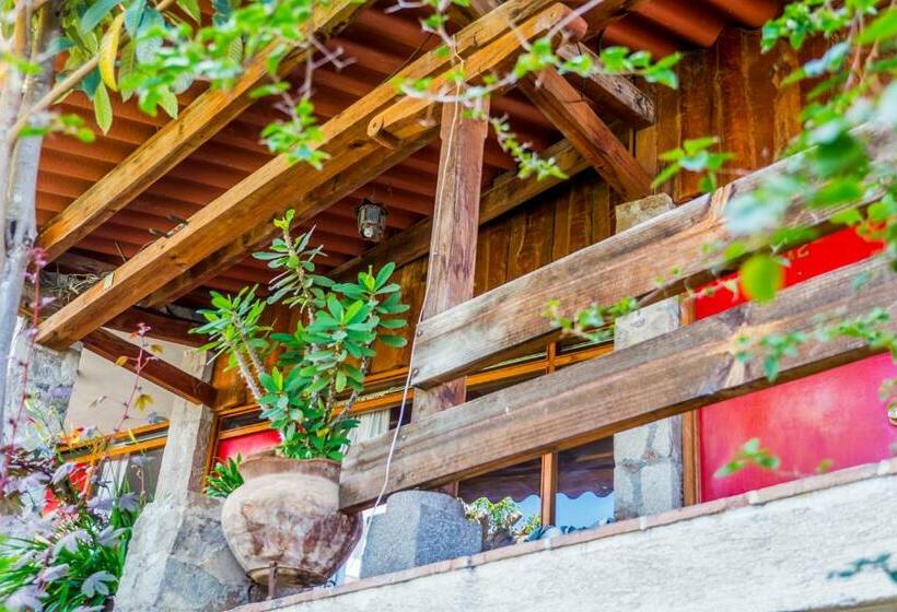 اتاق استاندارد با چشمانداز, Terrazas Del Lago