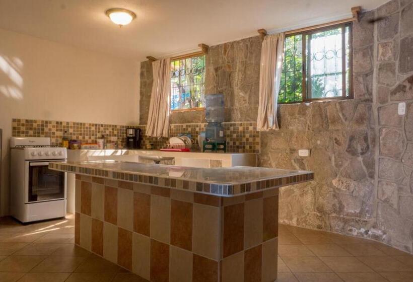 آپارتمان 1 خوابه با تراس, Terrazas Del Lago