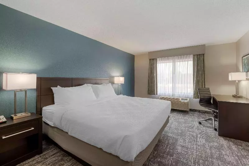اتاق استاندارد با تخت بزرگ, Best Western Watertown Inn And Suites