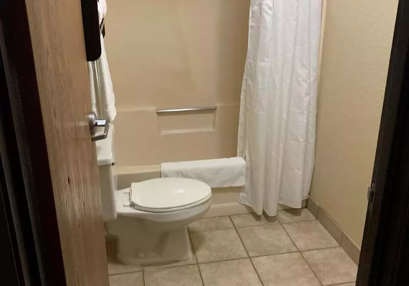 اتاق استاندارد با تخت بزرگ, Best Western Watertown Inn And Suites