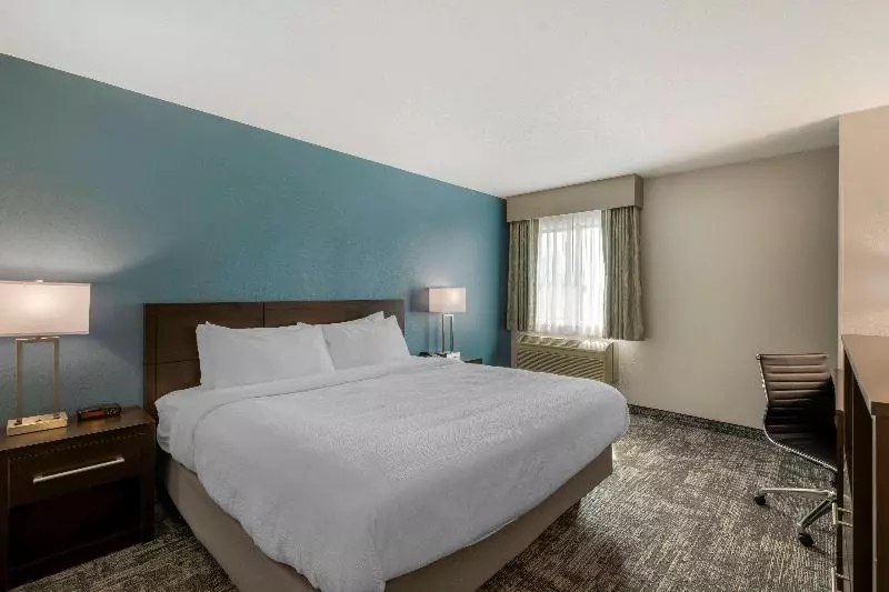 اتاق استاندارد با تخت بزرگ برای معلولان, Best Western Watertown Inn And Suites