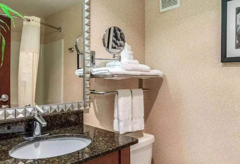 اتاق استاندارد, Clarion Hotel Portland International Airport