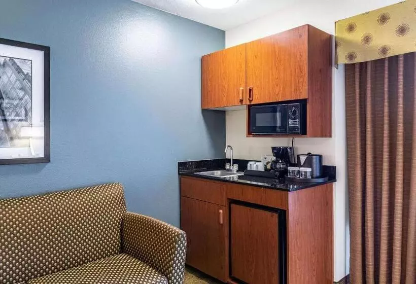 اتاق استاندارد با تخت بزرگ, Clarion Hotel Portland International Airport