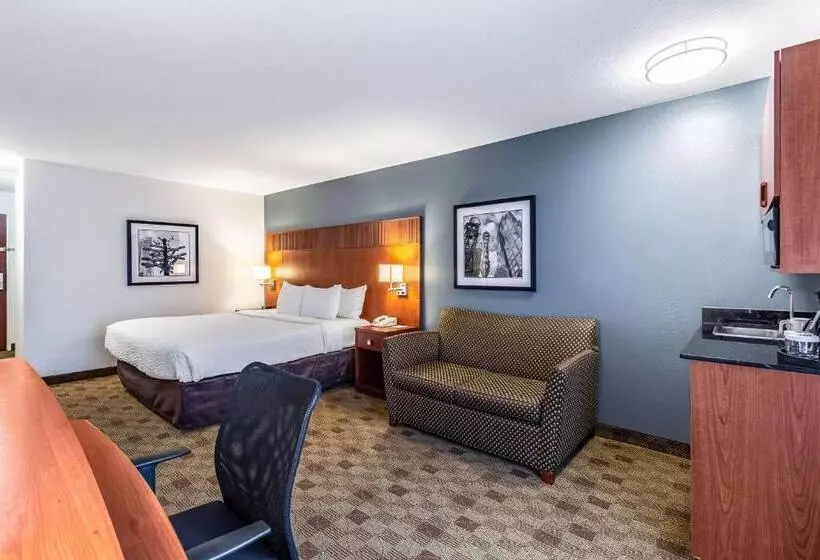 اتاق استاندارد با تخت بزرگ, Clarion Hotel Portland International Airport