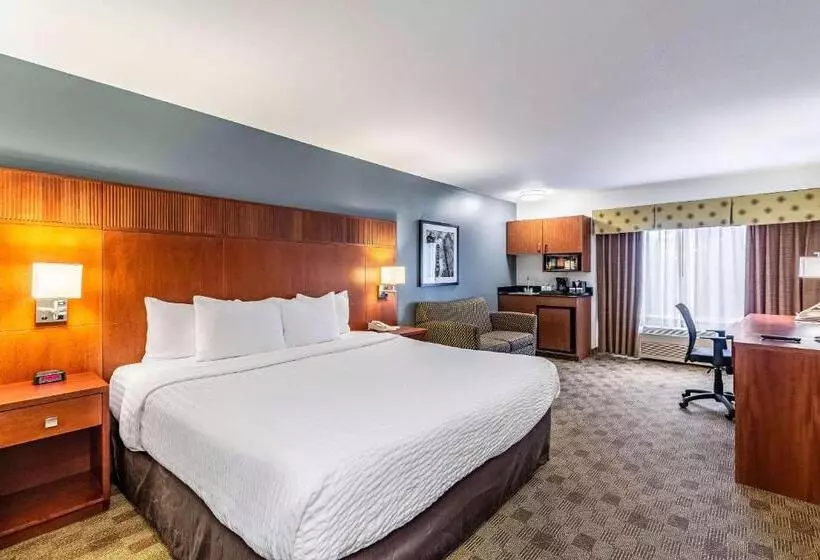 اتاق استاندارد با تخت بزرگ, Clarion Hotel Portland International Airport