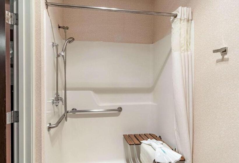 اتاق استاندارد با تخت بزرگ برای معلولان, Clarion Hotel Portland International Airport