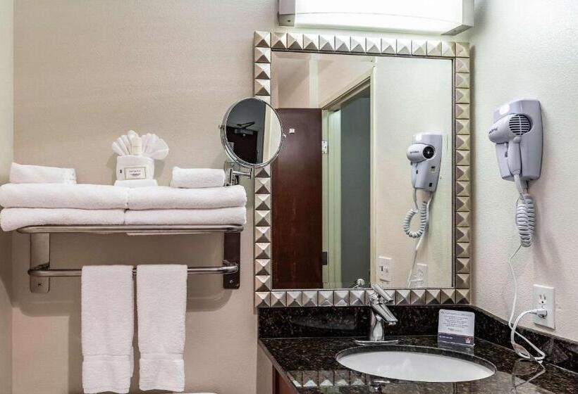 اتاق استاندارد با تخت بزرگ برای معلولان, Clarion Hotel Portland International Airport