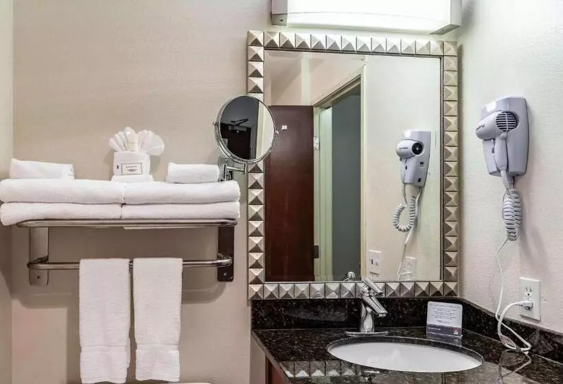 اتاق استاندارد با تخت بزرگ برای معلولان, Clarion Hotel Portland International Airport