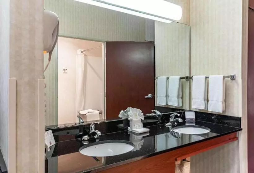 اتاق استاندارد با تخت دو نفره بزرگ برای معلولان, Clarion Hotel Portland International Airport