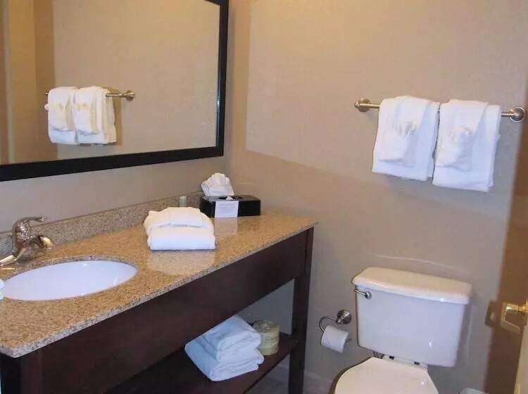 デラックスルーム, Red Roof Inn Fargo  I94/ Medical Center