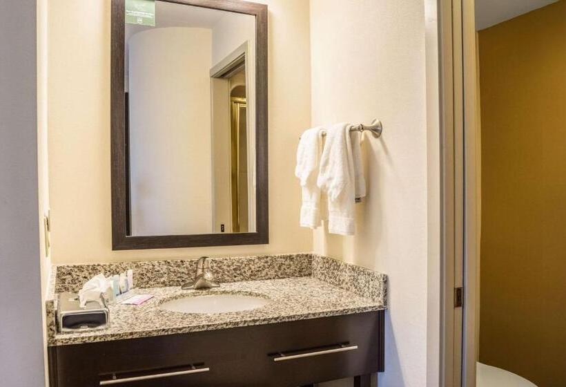 Номер Стандарт 2 Двуспальные Кровати, Sleep Inn