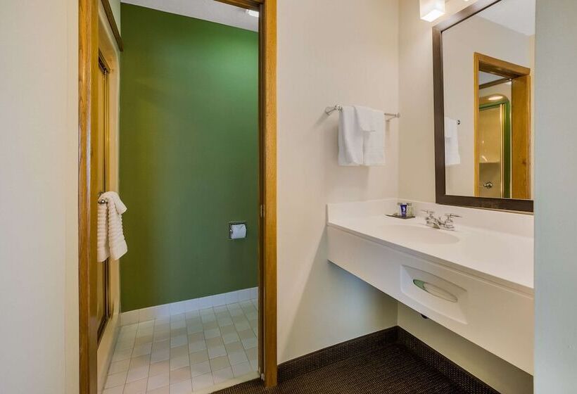 Номер Стандарт 2 Двуспальные Кровати, Sleep Inn