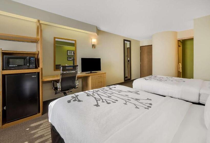 Номер Стандарт 2 Двуспальные Кровати, Sleep Inn