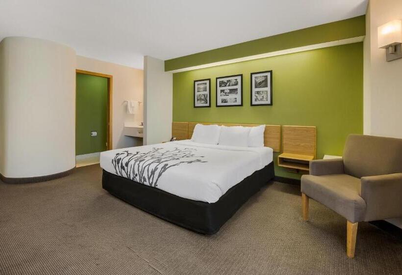 غرفة قياسية سرير كينج, Sleep Inn