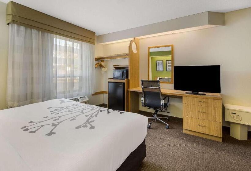 Quarto Estandar Cama King para Deficientes Físicos, Sleep Inn
