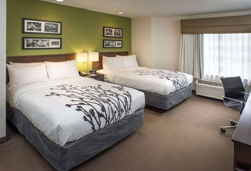 带2个双人床的标准工作室, Sleep Inn