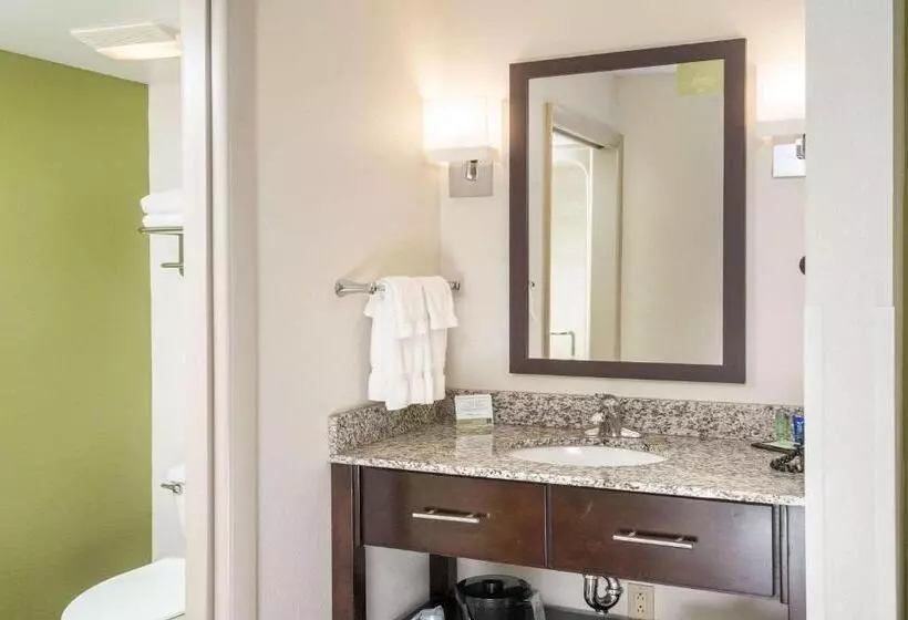 اتاق استاندارد با 2 تخت دوبل, Sleep Inn