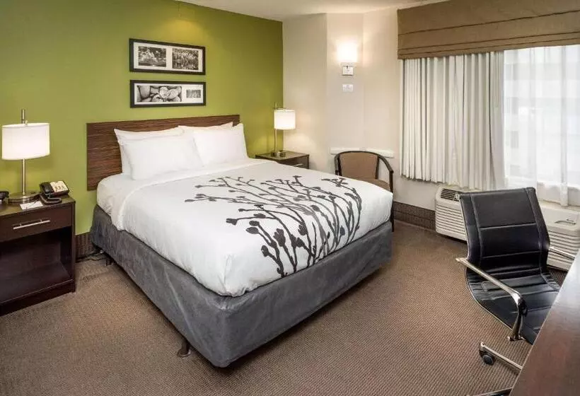 اتاق استاندارد, Sleep Inn