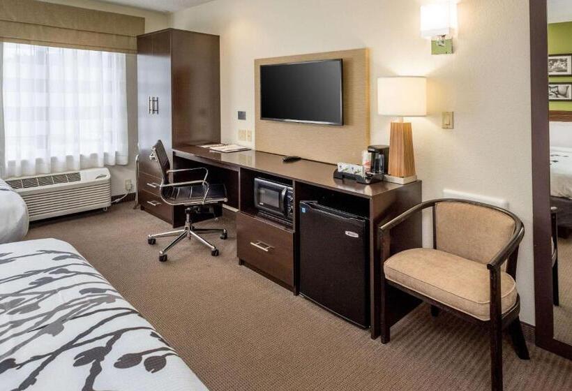 חדר סטנדרט מותאם לאדם עם מוגבלויות, Sleep Inn