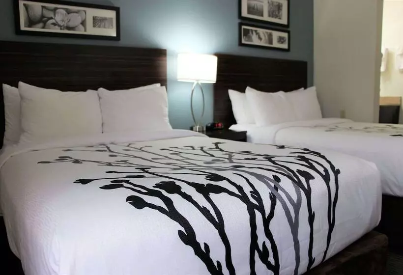 ２ダブルベッドのスタンダードルーム, Sleep Inn