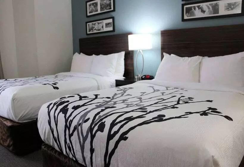 ２ダブルベッドのスタンダードルーム, Sleep Inn