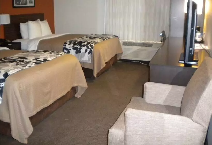 ２ダブルベッドのスタンダードルーム, Sleep Inn Kernersville I 40