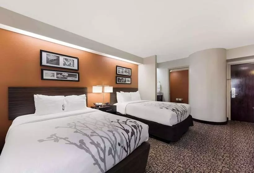 ２ダブルベッドのスタンダードルーム, Sleep Inn Kernersville I 40